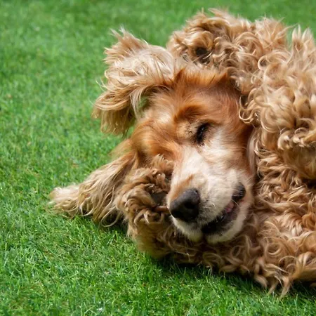 Vakantiehuis Casa La Pascuala *