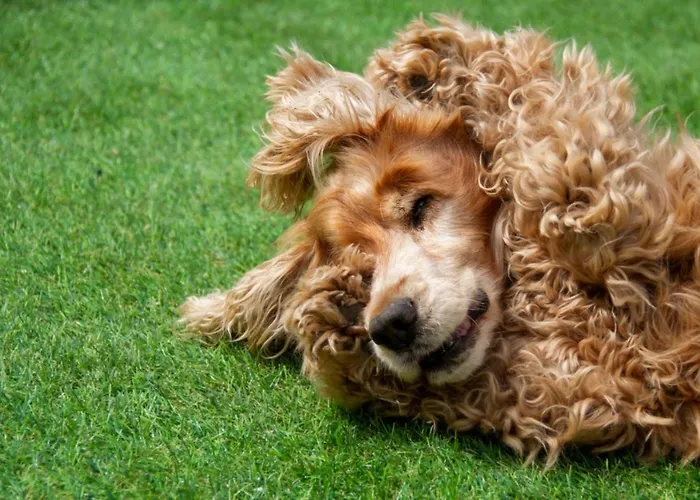 度假居 Casa La Pascuala *